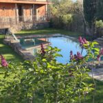 41Piscina 7
